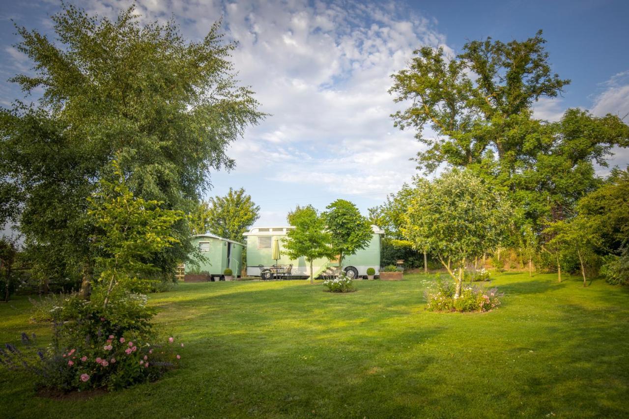 West Cottage, Southlands Farm, Gunnerton Hexham Extérieur photo